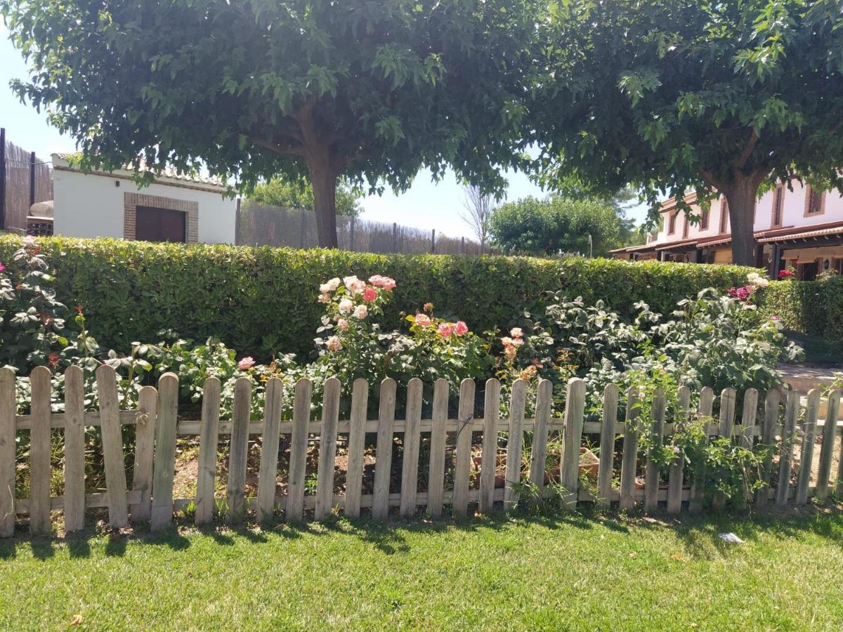 Casa Rural Alamillo Luque Eksteriør bilde